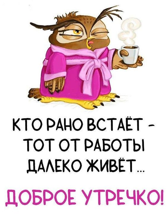 Открытка с заспанной совой и кофе