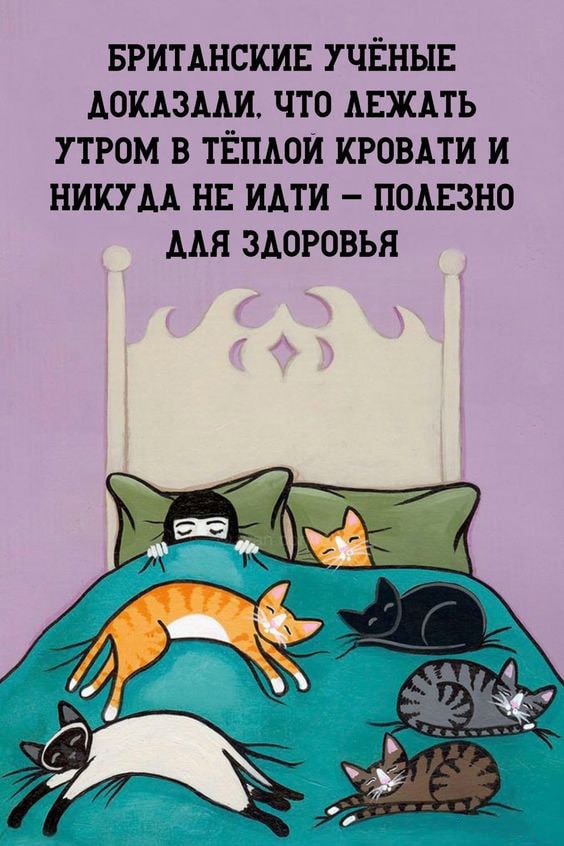 Картинка где девочка лежит с тремя котами на кровати