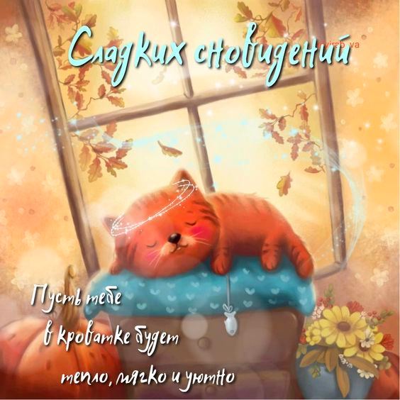 Кот спит возле тыквы Открытка Сладких снов
