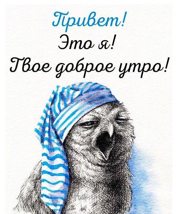 Сова зевает Открытка Привет