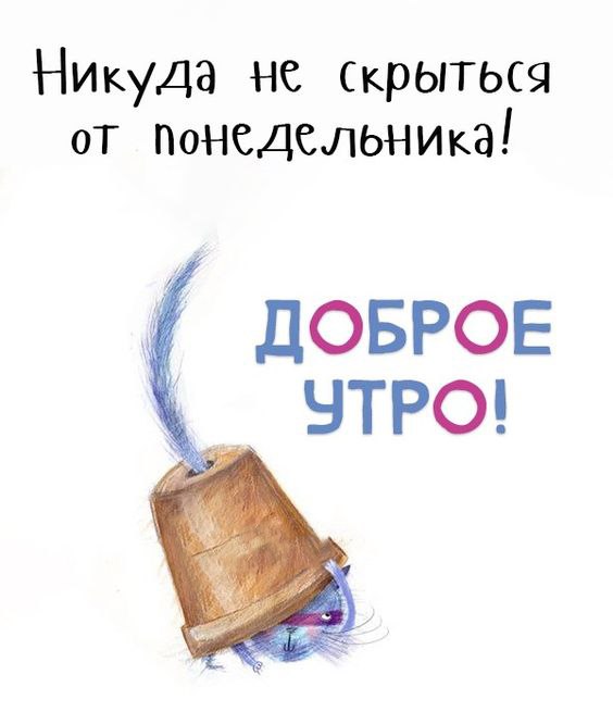 Кот под горшком Открытка Доброе утро понедельник