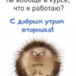 Открытка Злой ёжик доброе утро