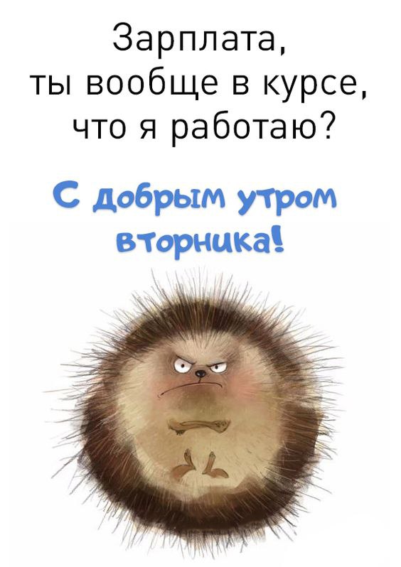 Открытка Злой ёжик доброе утро