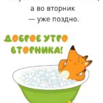 лиса в ванной Открытка Доброе утро вторника