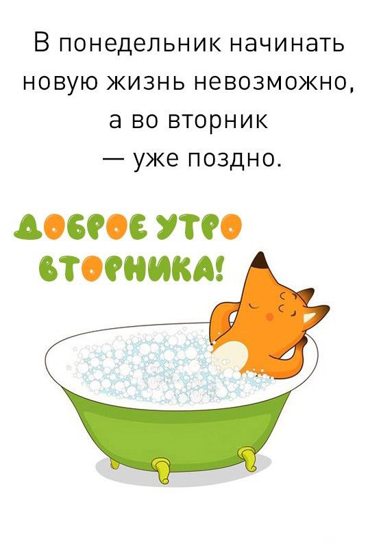 лиса в ванной Открытка Доброе утро вторника