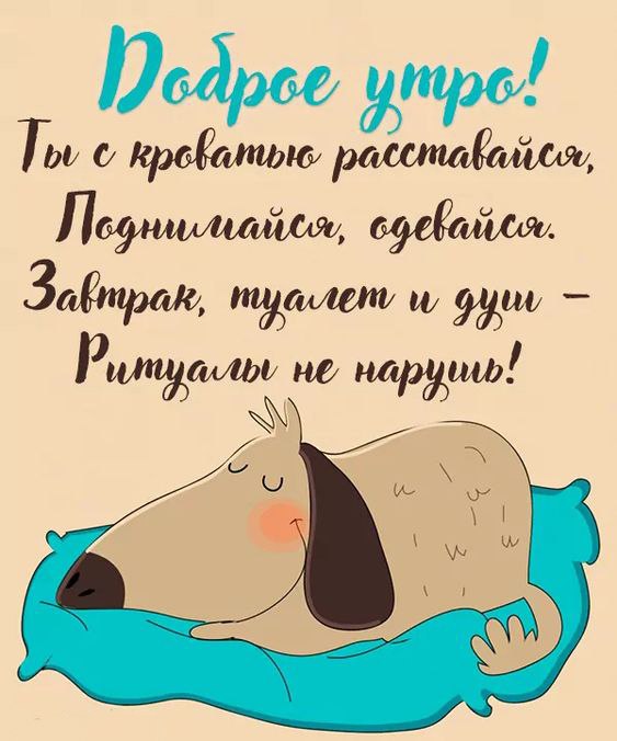 Собака спит на подушке Открытка Доброе утро