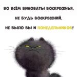 Злой черный кот Открытка Доброе утречко