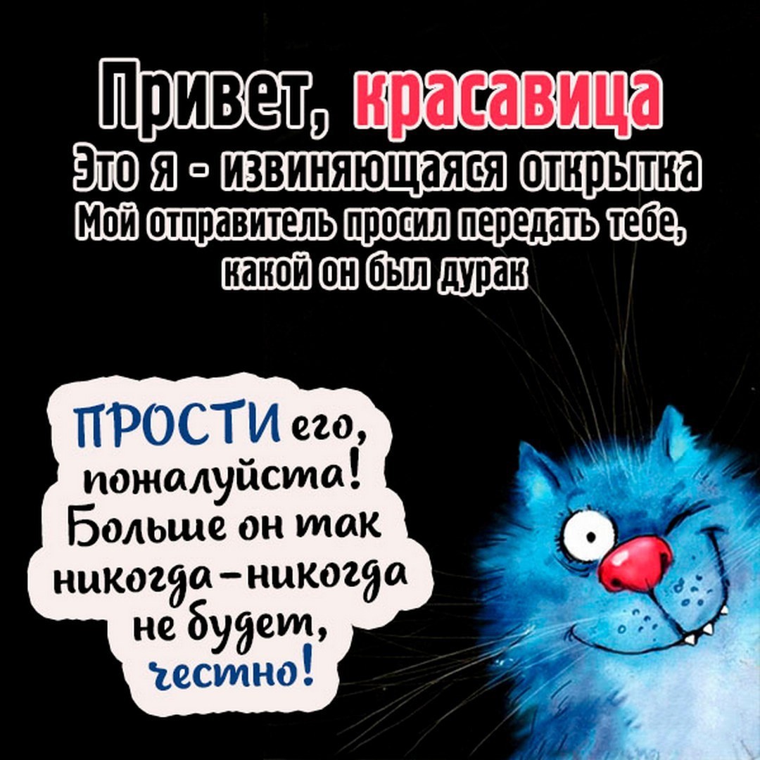 Синий кот извиняется Открытка Прости женщине