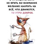 Открытка доброе утро с котом