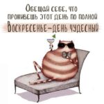 полосатый кот Открытка Воскресенье - день чудесный