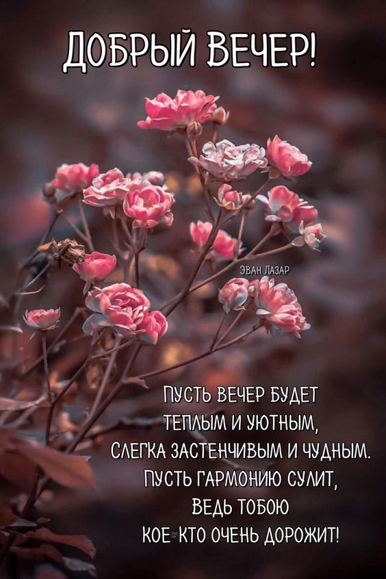 маленькие розы Открытка Добрый вечер