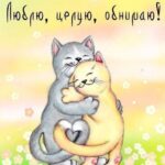 Кошки обнимаются открытка любимому человеку