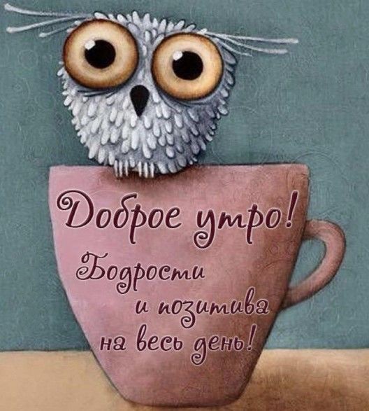 Сова на чашке открытка Доброе утро