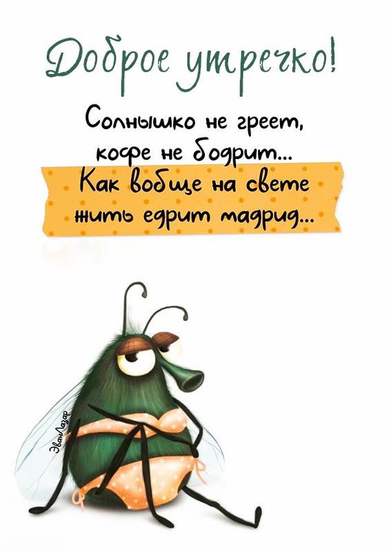 Муха в купальнике открытка Доброе утро
