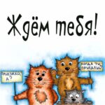 Три кота открытка Ждем тебя