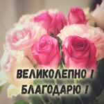 Розовые розы Открытка Благодарю