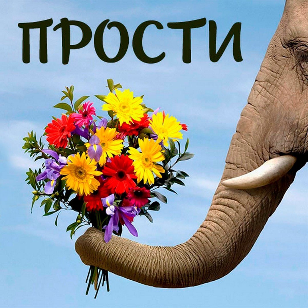 Слон с букетом цветов открытка Прости