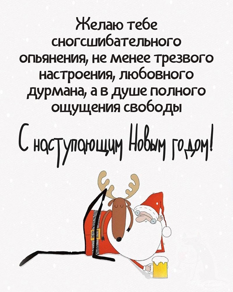 Дед Мороз с оленем пьют пиво