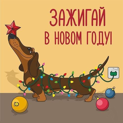 С Новым Годом открытка с таксой Такса с гирляндами