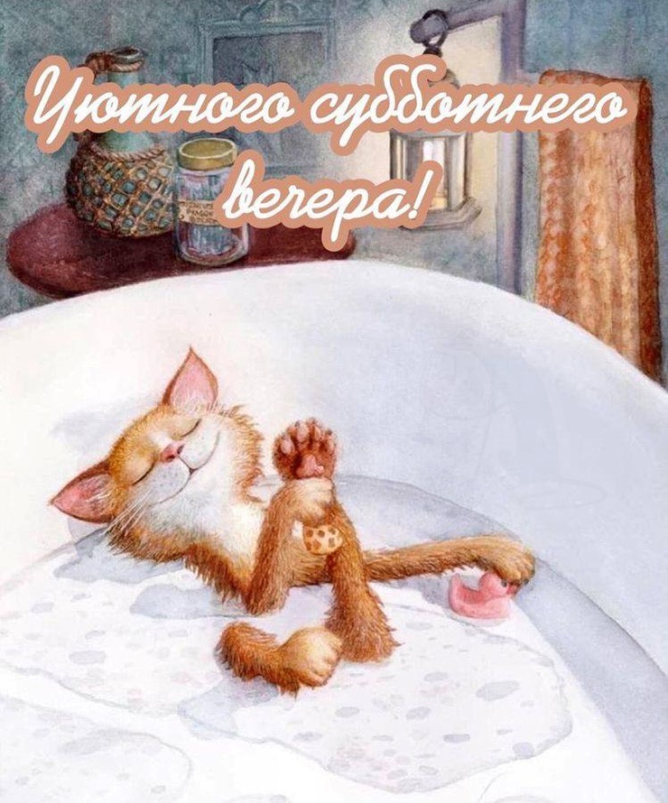 кошка в ванной открытка на субботу