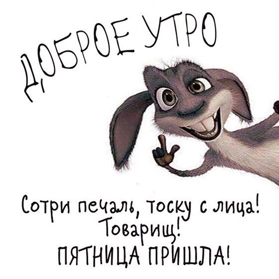 Доброе утро с кроликом в пятницу