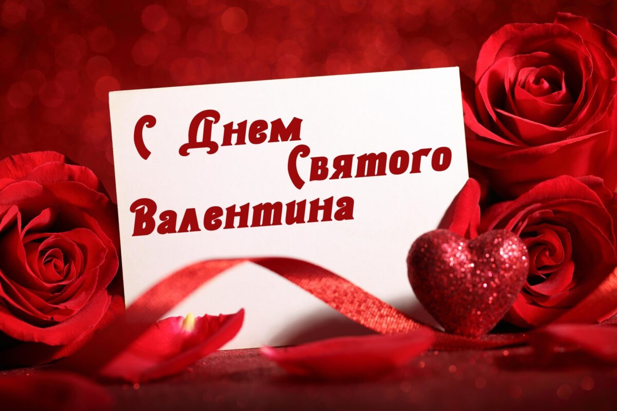 Белая открытка с красными розами