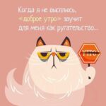 доброе утро открытка с котом