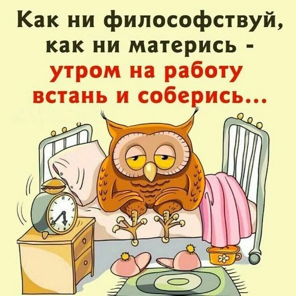 Картинка с совой про работу