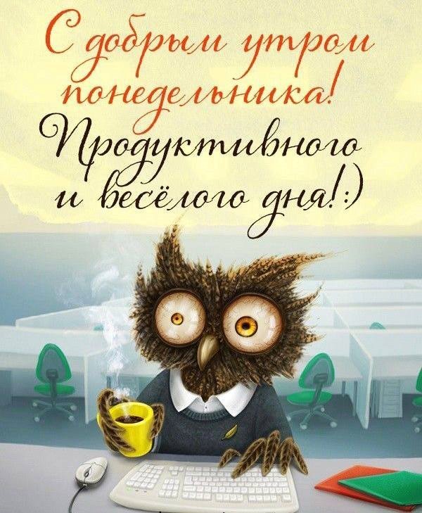 Сова с кофе на открытке веселого дня