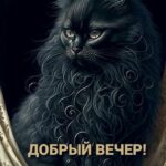 Открытка с черной кошкой добрый вечер
