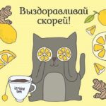 Кот с лимонами открытка выздоравливай