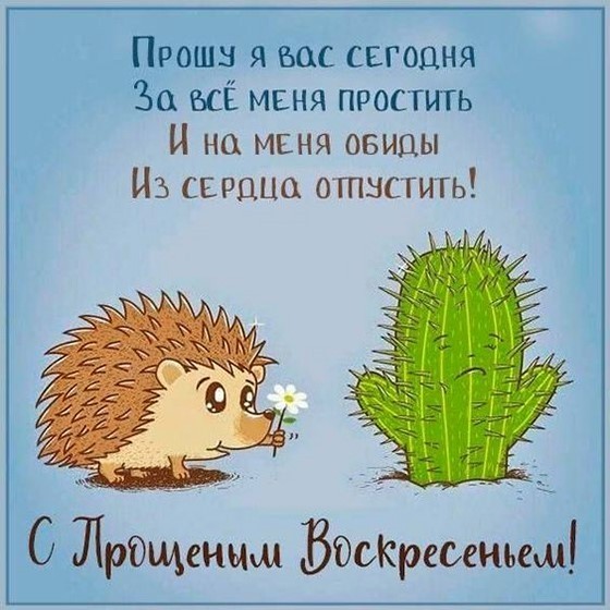 Ежик просит прощения к кактуса
