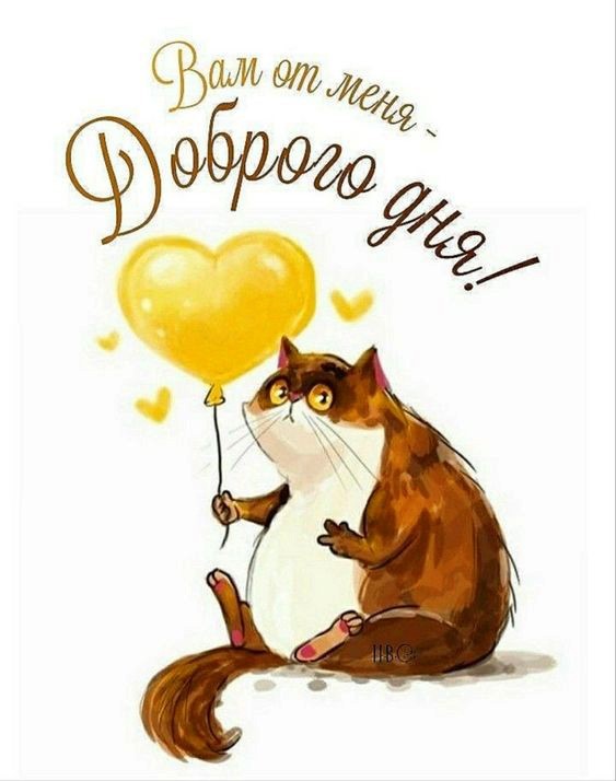 Кот с шариком в форме сердца