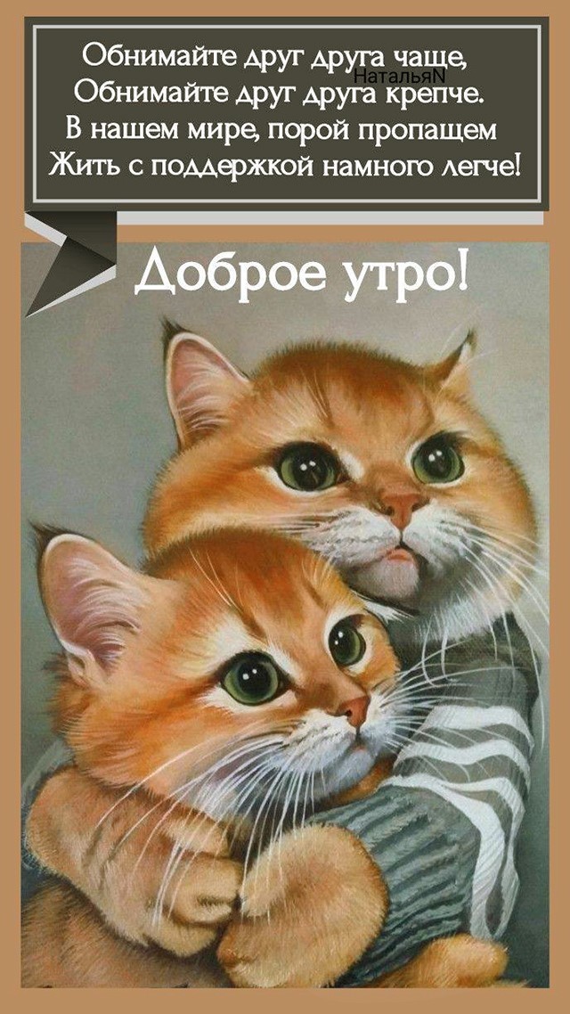 Доброе утро открытка 1468 Коты обнимаются