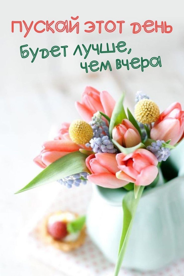Цветы