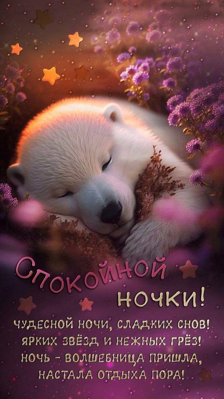 Открытка спокойной ночи с мишкой Открытка спокойной ночи Белый медведь спит