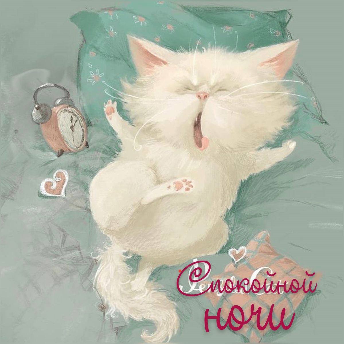 Открытка спокойной ночи с котом