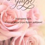 Розы