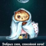 Сова завернутая в одеяло с подушкой