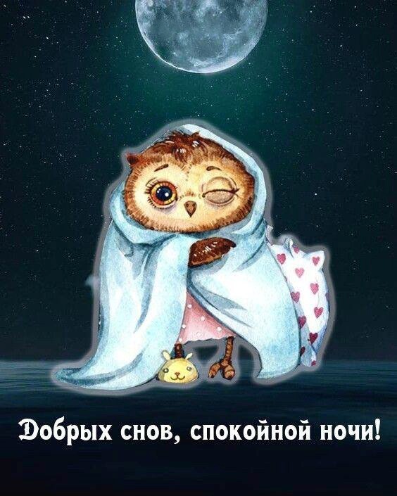 Открытка спокойной ночи Сова завернутая в одеяло с подушкой