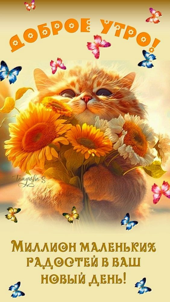 Котик с цветами