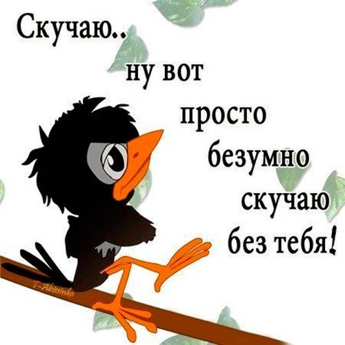 Черная птичка на ветке