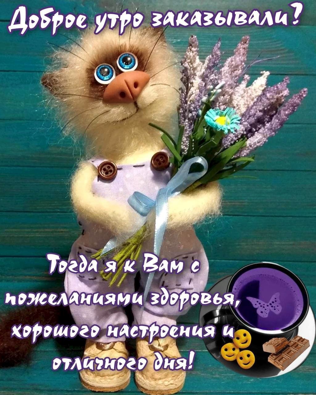 кот с цветами
