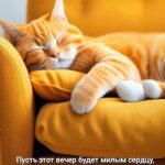 Рыжий кот на диване