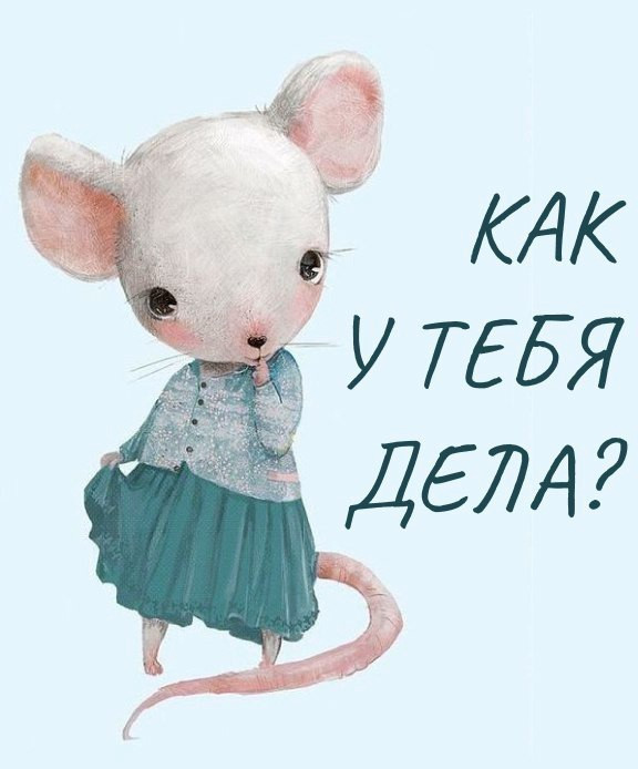 Застенчивая Мышка