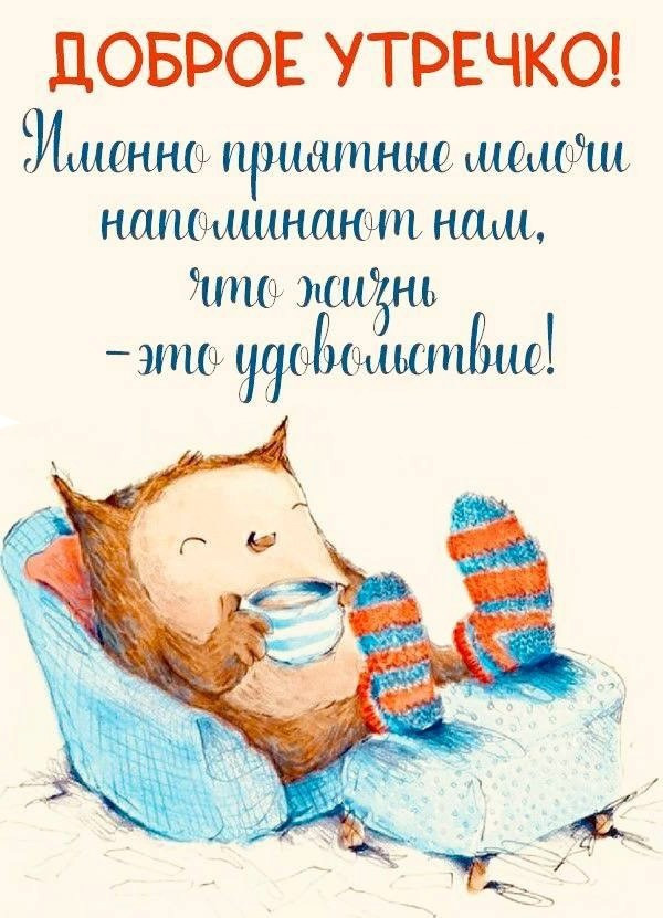 Сова в носках в кресле