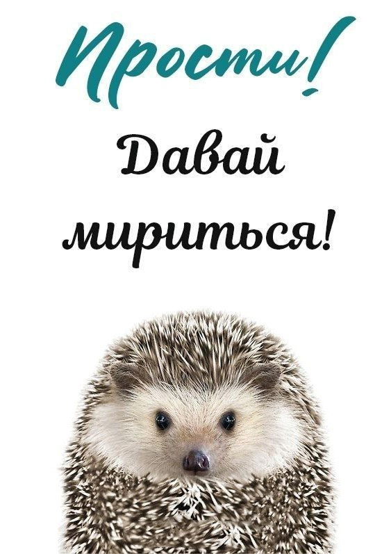 Ежик