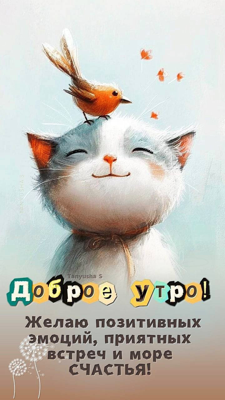 котик с птичкой