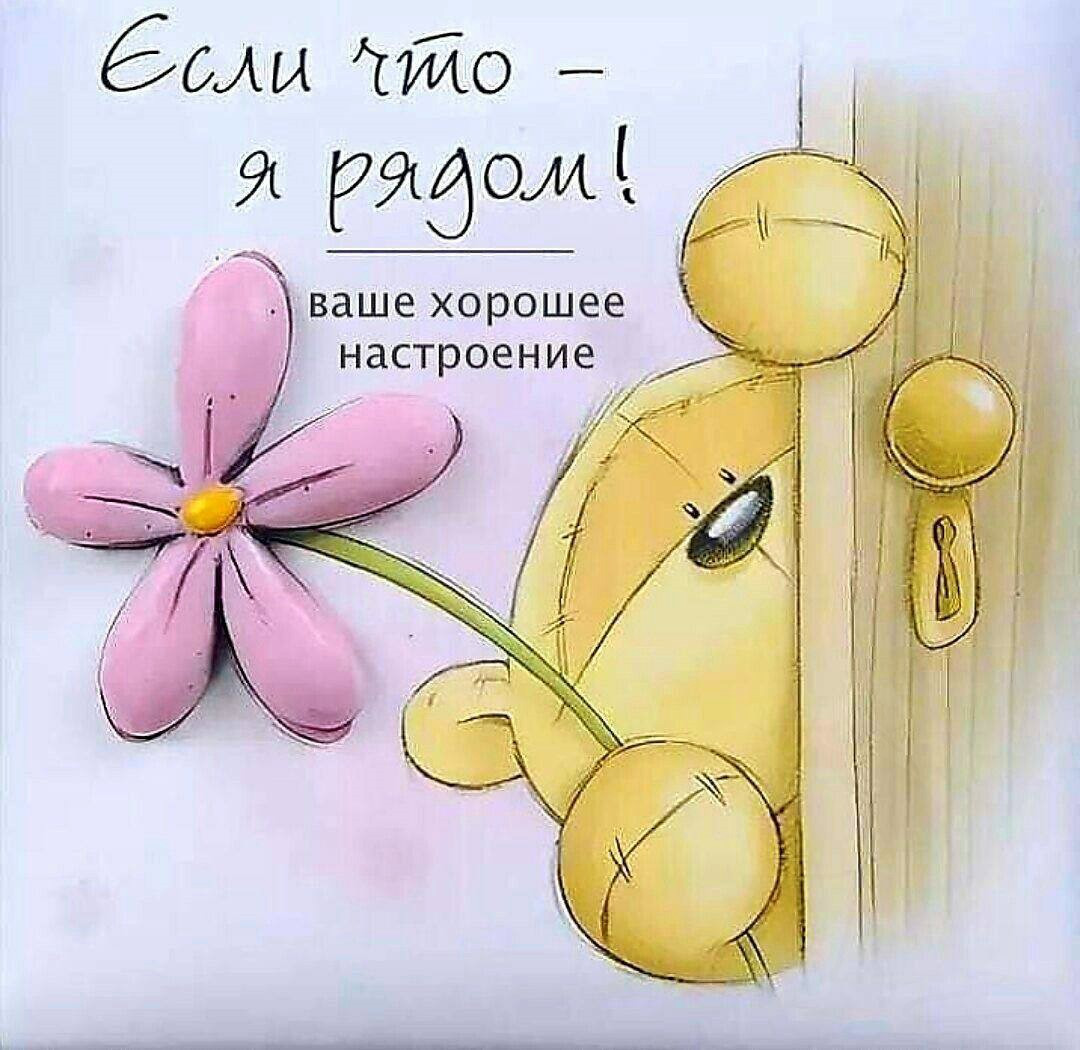 Медведь с цветком