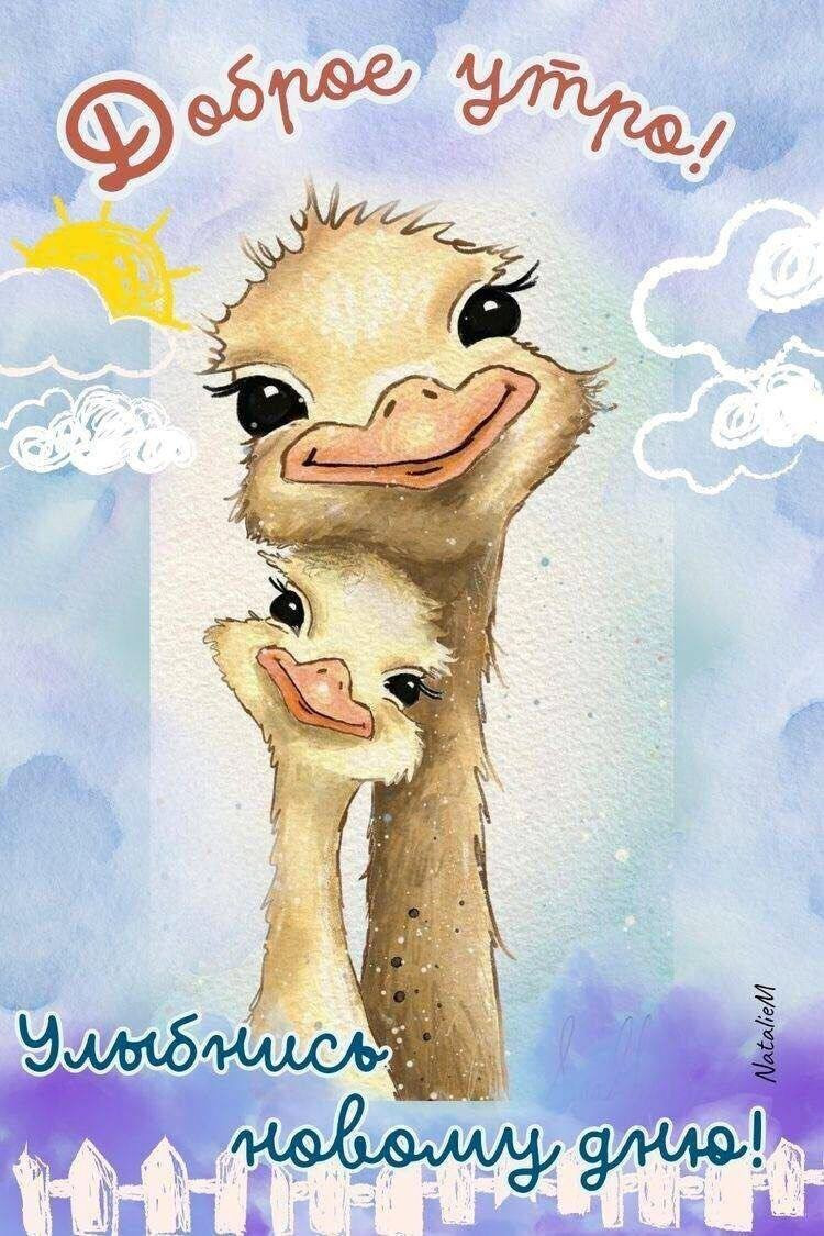 Страусы